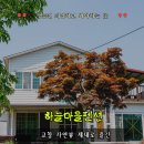 고창군추모의집 | 고창펜션 하늘마을펜션 겨울 가족여행 후기