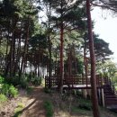 속초시박물관 이미지