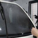 틴팅가이 이미지