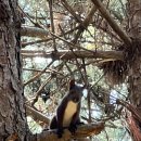 요리조리 흔들의자 이미지