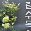 (유)제일수목원 네이버블로그
