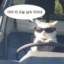 원룸민박 | 부산 기장 임랑해수욕장 &lt;임랑태양민박&gt; 완벽했던 여름휴가 후기