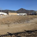 고골초등학교 이미지