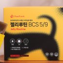 젤리댕댕이 이미지