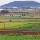 농부의딸 이미지