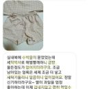 세탁박사 이미지