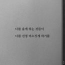 인생을 글로 쓰다 이미지