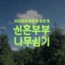 2025 유한킴벌리 &#39;신혼부부 나무심기&#39;(2026에 참고할 것!)
