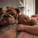 나의 강아지 이미지