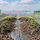 건후농장 이미지