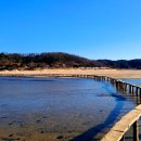 영주 무섬마을 이미지