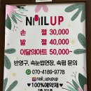 네일업네일UP