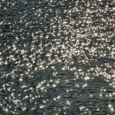 영화로운스테이 이미지