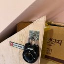 씨유 강남시티점 | #35. 숨겨진 꽃길테마 발견! 지구별방탈출 홍대어드벤처점 미스터리 후기