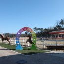 홍성군승마장 이미지