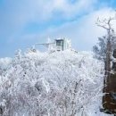 용평리조트 발왕산 케이블카 할인받고 설경 보고 이미지