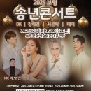 보령 송년콘서트 Daum카페