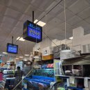 으뜸상회 | [노량진]군산상회 봄도다리모듬회 소짜 후기 🐟가성비 회포장 맛집