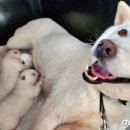 공인농장 이미지