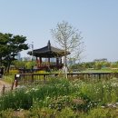 한밭수목원 이미지