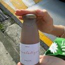 쇼콜라티끄