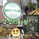 쵸이스피자 | 답십리역 피자 맛집 후기｜피자와 맥주 한잔하기 좋은 곳