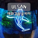 태화강자판기 | 울산 실내 데이트 추천 태화강동굴피아 리얼 후기 주차 꿀팁