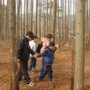 효탑초등학교 Daum카페