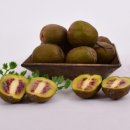 대은농장 이미지