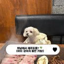 덕풍로 | [하남 맛집] 제주덕구 하남점, 아이랑 강아지 동반 가능한 고기집 (내돈내산)