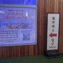 필라테스 인 더 하우스 | [서울/당곡] 필라테스인더하우스｜자세 교정부터 코어 운동까지 제대로 배운 하루
