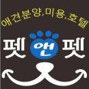 행복애견미용실 이미지