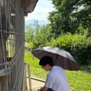 초원목장 | 볼만한 곳 추천🌿｜한국의 스위스 감성! 춘천해피초원목장 후기 ｜인생샷 포토존 &amp; 입장료 &amp; 주차｜동물...