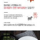 솥돼지 이미지