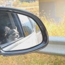 내서읍407 이미지