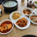 옥천공설시장 | [옥천맛집] 옥천 시장 맛집 / 옥천 순대국밥 맛집 / &#39;옥천초량순대&#39;