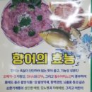 한일회센타 이미지