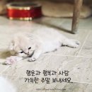 주말 이미지