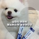 환경과건강지킴이 | 강아지 면연력 지킴이 페노비스 벳 강아지 유산균 급여후기