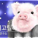 <b>넷플릭스</b> [데빌] 상영 달글