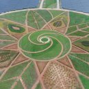 태양광발전소 부지조성 이미지