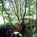 지종농장 이미지