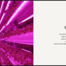 들가운데농장 이미지