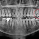보배로운치과의원 이미지