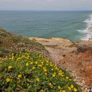 오비도스 이미지