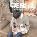 큐티멍 이미지
