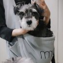 예성비뇨기과의원 이미지