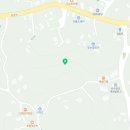 금덕무환자나무및팽나무군락 이미지