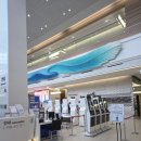 줄포환경센터(파업중) | 급성 후두개염 투병기 : 대한민국 응급실의 현실. 죽음의 문턱에서 돌아왔다.