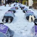 이태원 유가족들 '눈밭 오체투지'..."묻고 싶다, 밝혀진 게 뭔가" 이미지